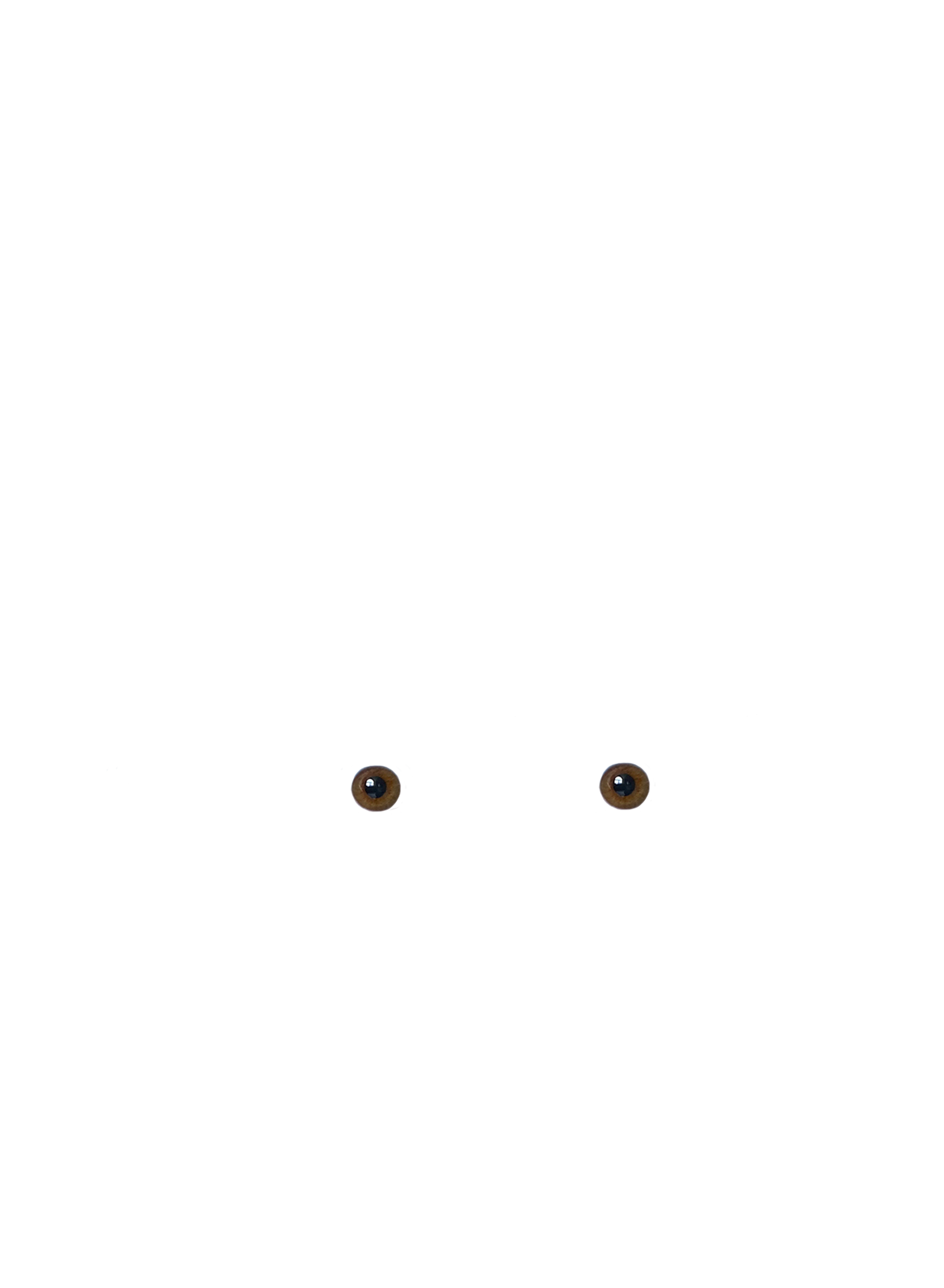 Pupils