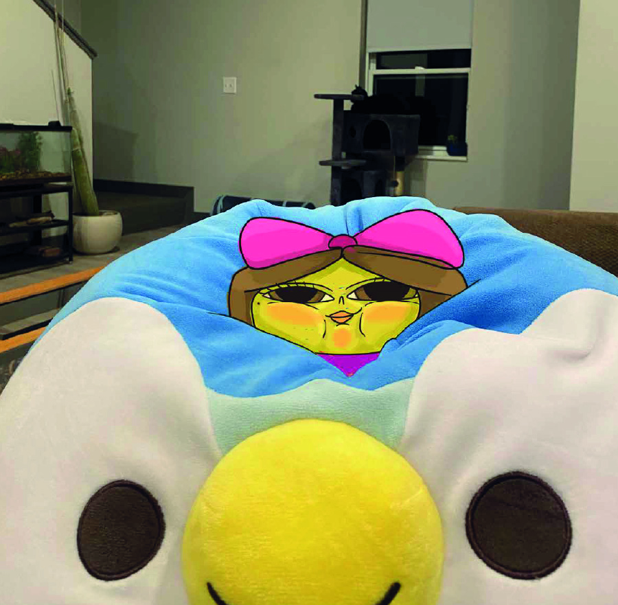 Pillow princess illustration